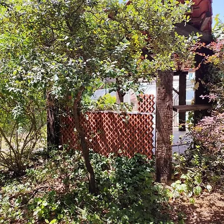 Mas Vallcrosa Parentale Avec Jardin Et Piscine * Camélas